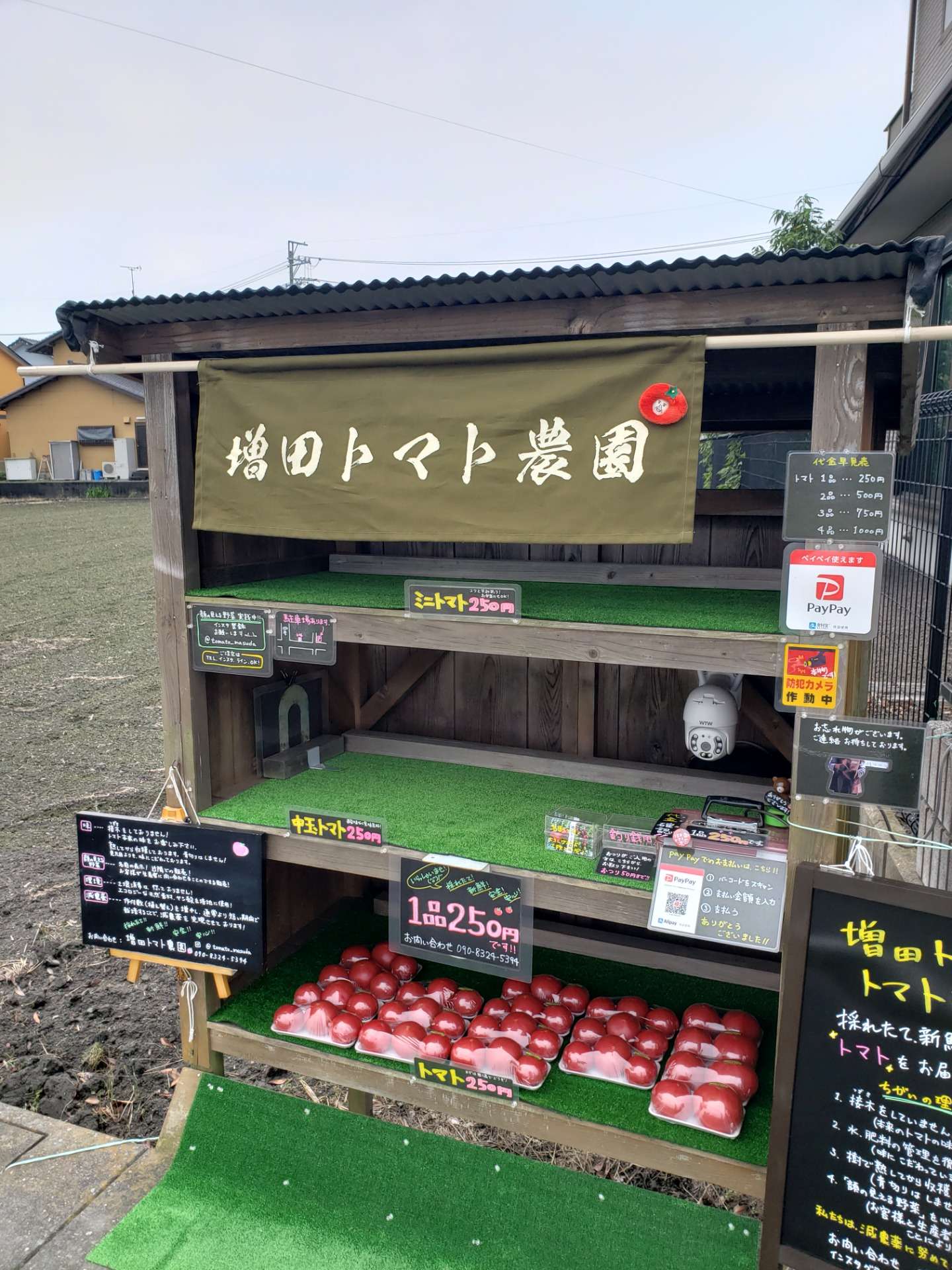 増田トマト農園